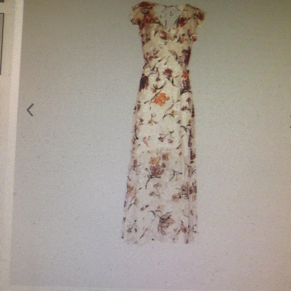 Reiss (Leila) Floral printed Maxi dress